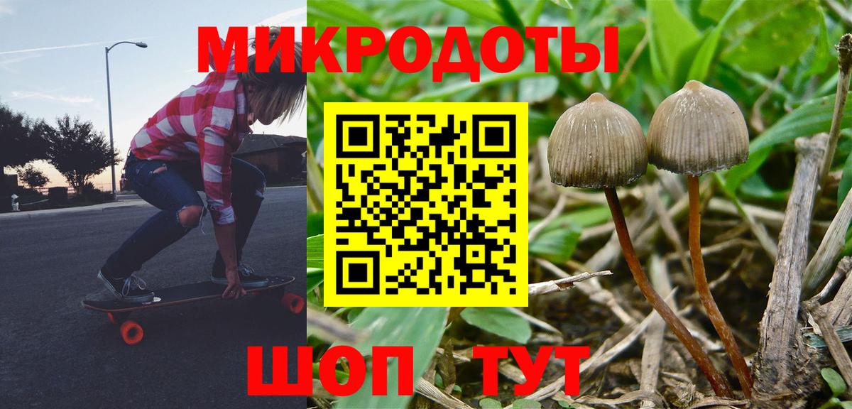 Псилоцибиновые грибы Psilocybine cubensis Сегежа