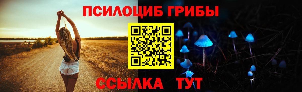 Галлюциногенные грибы Cubensis  Вход с VPN  Сегежа  Галлюциногенные грибы мицелий 