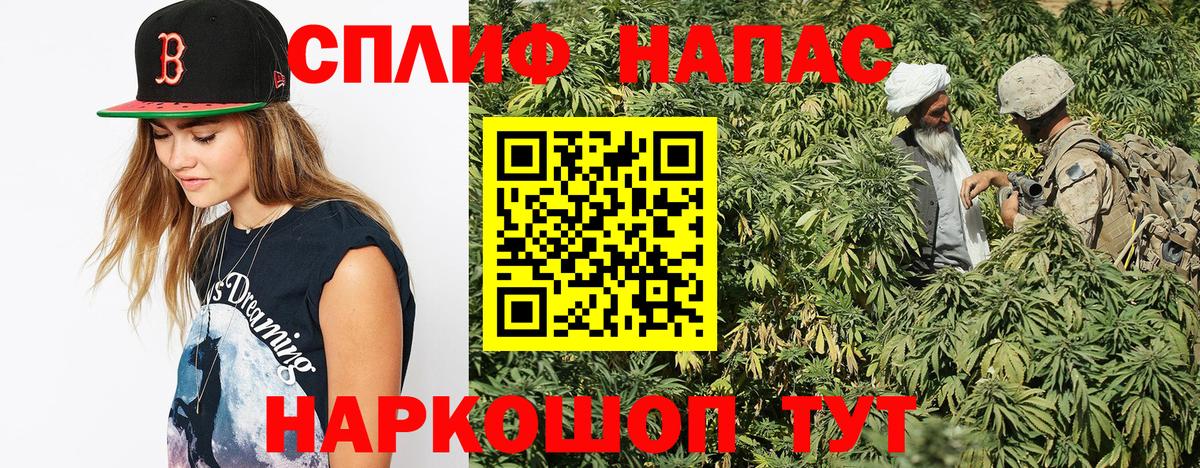 Бошки Шишки сатива Сегежа